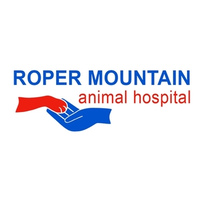 Roper Mountain Animal Hospital logo, Roper Mountain Animal Hospital contact details