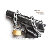 Best Gun Safe logo, Best Gun Safe contact details