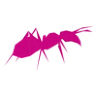 Ant Workshop Ltd logo, Ant Workshop Ltd contact details