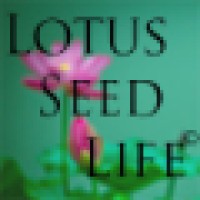 Lotus Seed Life logo, Lotus Seed Life contact details