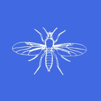 Insect Research & Development Limited logo, Insect Research & Development Limited contact details