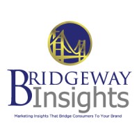 Bridgeway Insights logo, Bridgeway Insights contact details