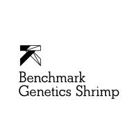 Benchmark Genetics Shrimp logo, Benchmark Genetics Shrimp contact details