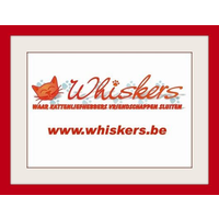 Whiskers logo, Whiskers contact details