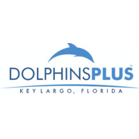 dolphins plus logo, dolphins plus contact details