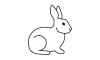 WhiteRabbit.is logo, WhiteRabbit.is contact details