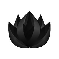 Black Lotus Ventures logo, Black Lotus Ventures contact details