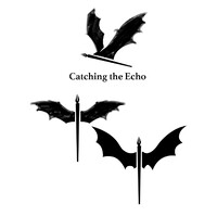 Catching the Echo Ghostwriting logo, Catching the Echo Ghostwriting contact details