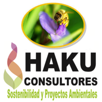 HAKU CONSULTORES SAC logo, HAKU CONSULTORES SAC contact details