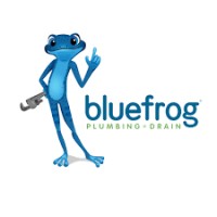 bluefrog Plumbing + Drain of Orange County logo, bluefrog Plumbing + Drain of Orange County contact details