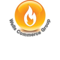 WELLS COMMERCE GROUP SA DE CV logo, WELLS COMMERCE GROUP SA DE CV contact details