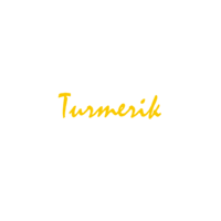 Turmerik Inc logo, Turmerik Inc contact details