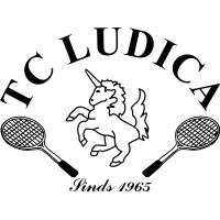 T.C. Ludica logo, T.C. Ludica contact details