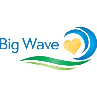 Big Wave Group logo, Big Wave Group contact details