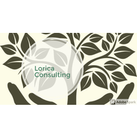 Lorica Consulting logo, Lorica Consulting contact details