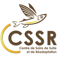 CALEDONIE SANTE CSSR logo, CALEDONIE SANTE CSSR contact details