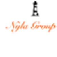 Nyla Group LLC logo, Nyla Group LLC contact details