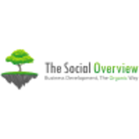 The Social Overview logo, The Social Overview contact details