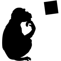 Monkeysquare logo, Monkeysquare contact details