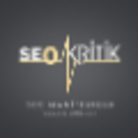 Seokritik logo, Seokritik contact details