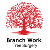 Branch Work Tree Surgery logo, Branch Work Tree Surgery contact details