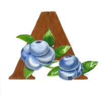 Alexander's Wild Maine Blueberries logo, Alexander's Wild Maine Blueberries contact details