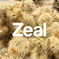 Zeal Magazine logo, Zeal Magazine contact details