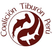 Coalición Tiburón Perú logo, Coalición Tiburón Perú contact details