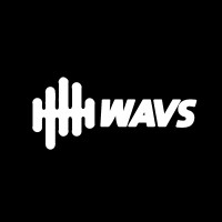 WAVS Custom logo, WAVS Custom contact details