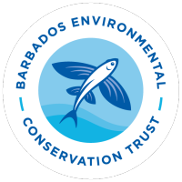 Barbados Environmental Conservation Trust logo, Barbados Environmental Conservation Trust contact details