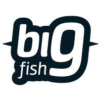 BIG FISH Internet-technology Ltd. logo, BIG FISH Internet-technology Ltd. contact details