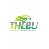 Thebu Financial and Management Services logo, Thebu Financial and Management Services contact details