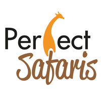 Perfect Safaris logo, Perfect Safaris contact details