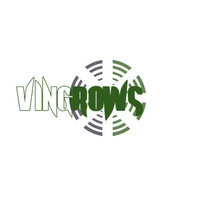 Vingrows Business Solutions logo, Vingrows Business Solutions contact details