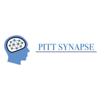 Pitt Synapse logo, Pitt Synapse contact details