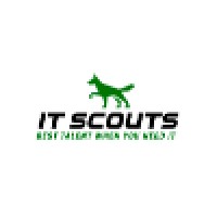 I.T. Scouts logo, I.T. Scouts contact details