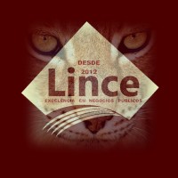 Lince Advisory and Representation in Government Business logo, Lince Advisory and Representation in Government Business contact details