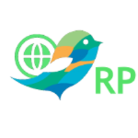 RP Soluciones Web logo, RP Soluciones Web contact details