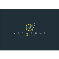 Miracolo Eğitim ve Danışmanlık logo, Miracolo Eğitim ve Danışmanlık contact details