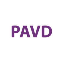 Pan Asia Venture Development Platform (PAVD) logo, Pan Asia Venture Development Platform (PAVD) contact details