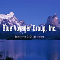 Blue Voyager Group, Inc. logo, Blue Voyager Group, Inc. contact details