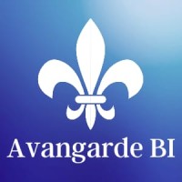 Avangarde BI logo, Avangarde BI contact details