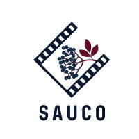 Sauco Post Produccion logo, Sauco Post Produccion contact details