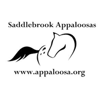 Saddlebrook Appaloosas logo, Saddlebrook Appaloosas contact details