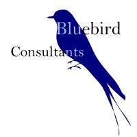 Bluebird Consultants, LLC. logo, Bluebird Consultants, LLC. contact details