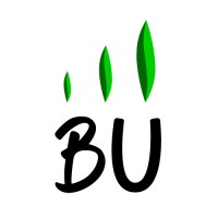 BU Coaching logo, BU Coaching contact details