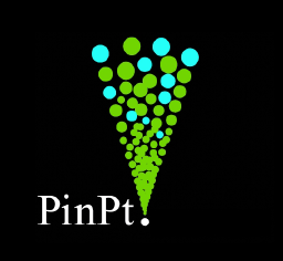 PinPt. Strategic Marketing logo, PinPt. Strategic Marketing contact details