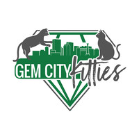 Gem City Kitties logo, Gem City Kitties contact details