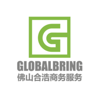 Globalbring Asesorias y Servicios Limitada logo, Globalbring Asesorias y Servicios Limitada contact details