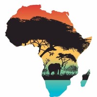 The Aviator Africa logo, The Aviator Africa contact details